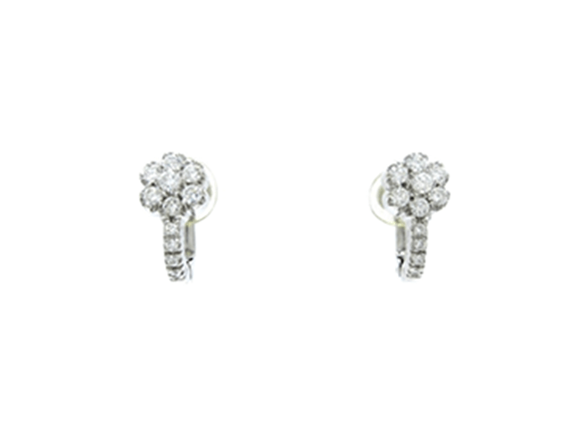 DAMIANI(ダミアーニ)